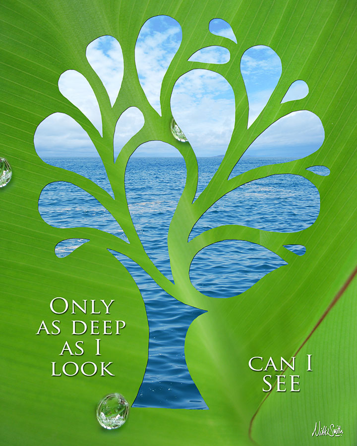 Only as Deep as I Look Can I SEE by Nikki Smith